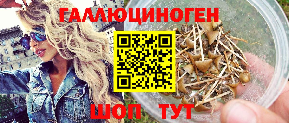 Аксай  хочу наркоту  Вход с VPN  Псилоцибиновые грибы GOLDEN TEACHER  Псилоцибиновые грибы Psilocybe 